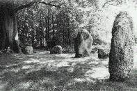 Nine Stones stone circle, Dorset, photographed in May 1990 (104 KB)