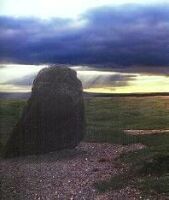 The only clearly visible stone at the Blaen Digedi stone circle, west of Hay Bluff (9 KB)