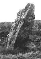 The First Piper standing stone beside the Gray Hill stone circle, near Llanvair-Discoed (8 KB)