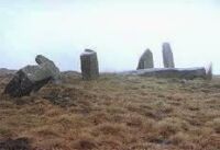 The Saith Maen (Craig-y-nos) stone row, near Glyntawe (7 KB)