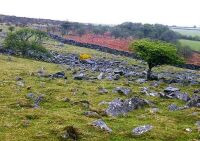 Hickley Ridge, Dartmoor (57 KB)