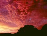 Red Sky, Cardiff (26 KB)