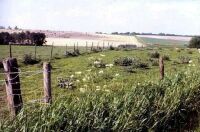 Fields near Alton Barnes, Wiltshire (48 KB)