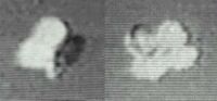 The Nellis UFO, shown in two different views from the S-30 footage (9 KB)