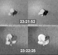  In this and the Figures which follow, the original Nellis UFO image is shown on the left and the author's model on the right (20 KB)