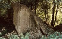 The Hoar Stone burial chamber, near Enstone, Oxfordshire, photographed in May 1989 (167 KB)