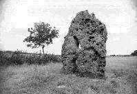 The Long Stone, Minchinhampton, Gloucestershire, photographed in September 1990 (78 KB)