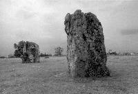 Stanton Drew stone circle, Somerset, photographed in May 1990 (104 KB)