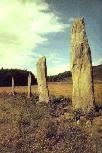 Ballymeanoch stone row, Mid Argyll, photographed in June 1990 (72 KB)