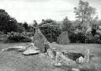 Crarae chambered long cairn, Argyllshire, photographed in June 1990 (96 KB)
