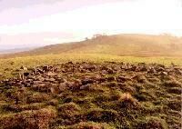 Banc Cairn, Montgomeryshire, photographed in November 1995 (96 KB)
