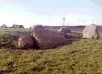 Gwern-y-Cleppa burial chamber, Monmouthshire, photographed in March 1987 (89 KB)