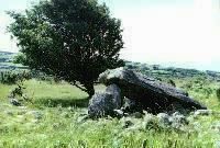 Gors-y-Gedol burial chamber, Merionethshire, photographed in July 1987 (105 KB)