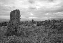 Gray Hill stone circle, Monmouthshire, photographed in October 1989 (107 KB)