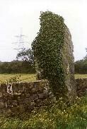 Maenaddwyn standing stone, Anglesey, photographed in July 1987 (135 KB)