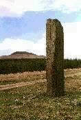 Maen Madoc standing stone, Powys, photographed in May 1987 (78 KB)