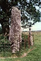 Llanbedr standing stones, Gwynedd, photographed in July 1987 (249 KB)